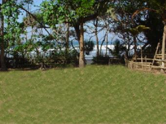 Premium Land Beach Front Sale Bali